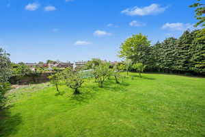 Orchard- click for photo gallery
